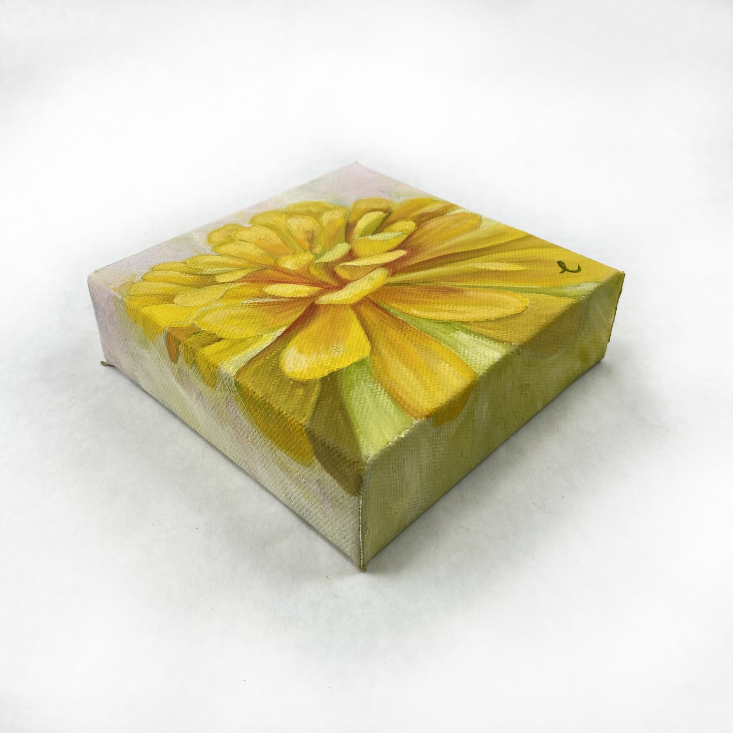 Mini Yellow Zinnia Original Floral Painting