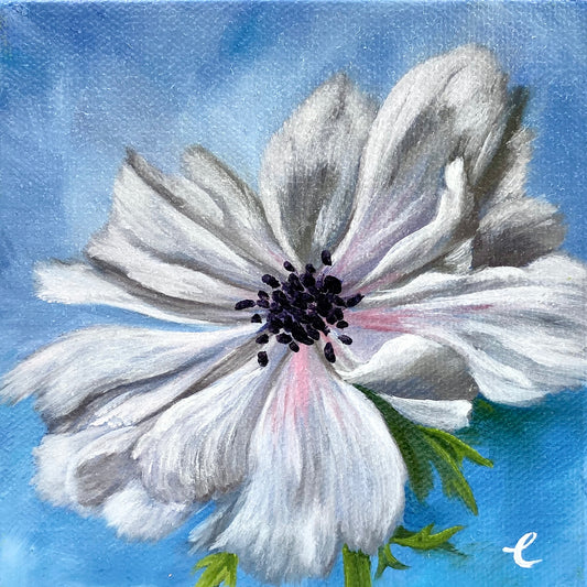 Mini White Anemone Original Oil Painting