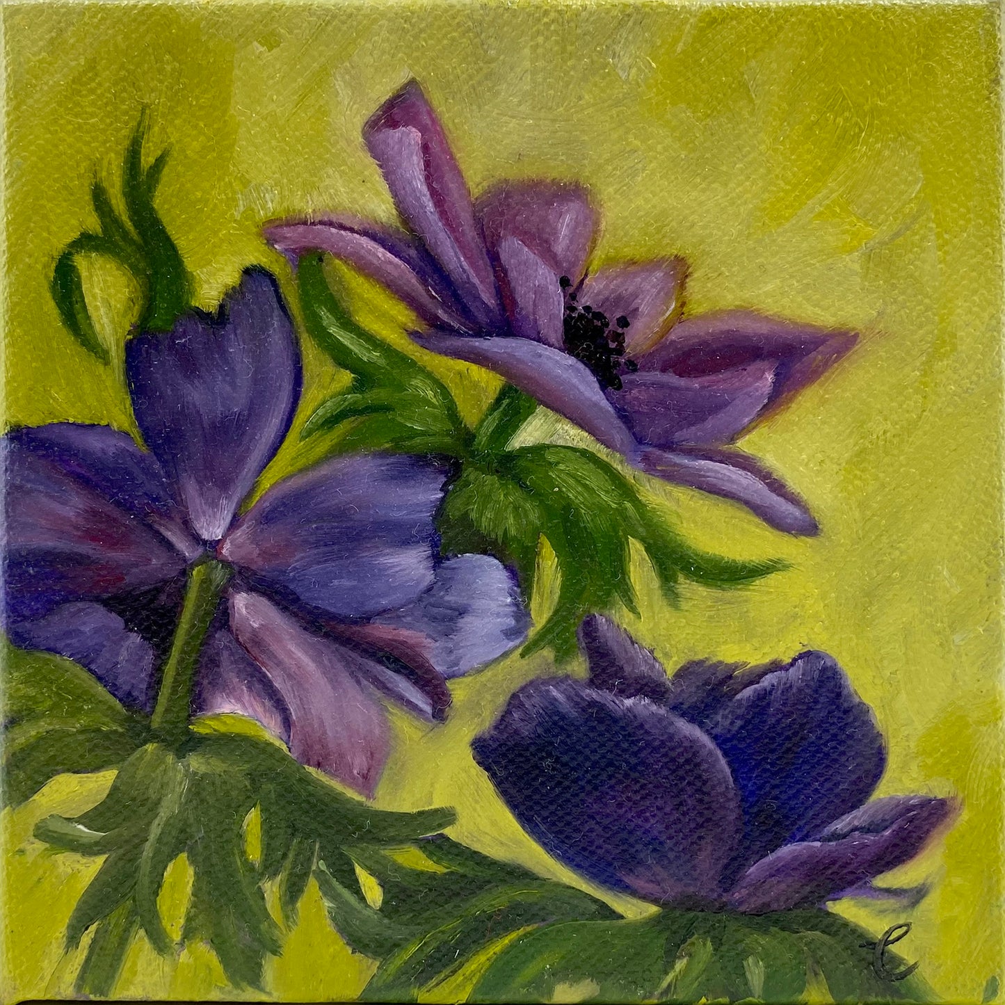 Mini Purple Anemone Flowers Original Oil Painting