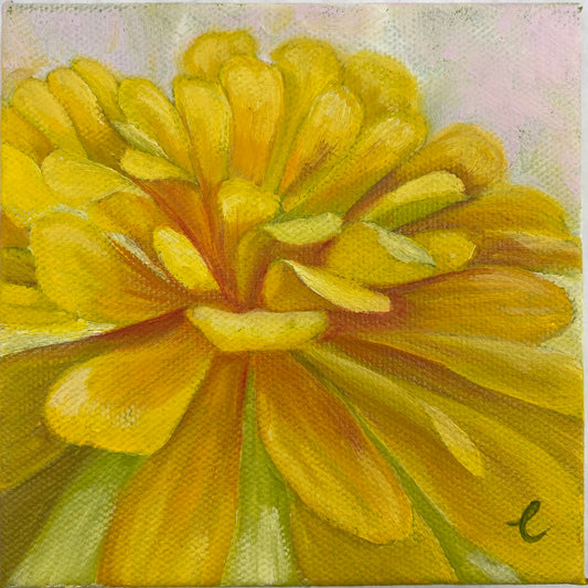 Mini Yellow Zinnia Original Floral Painting