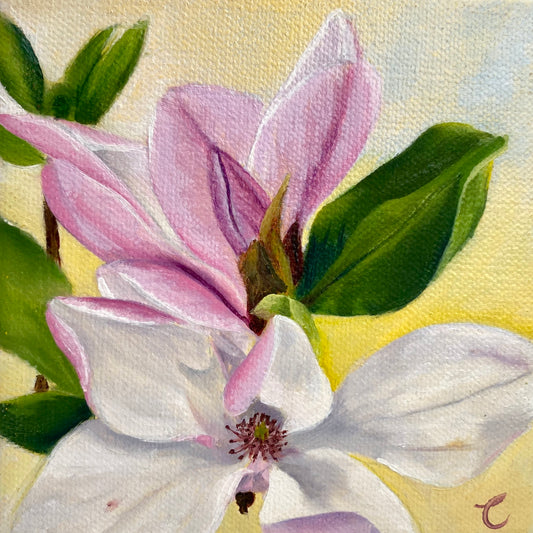 Mini Magnolia Original Oil Painting