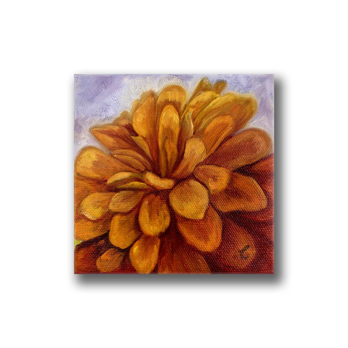 Mini Orange Zinnia Flower Original Oil Painting