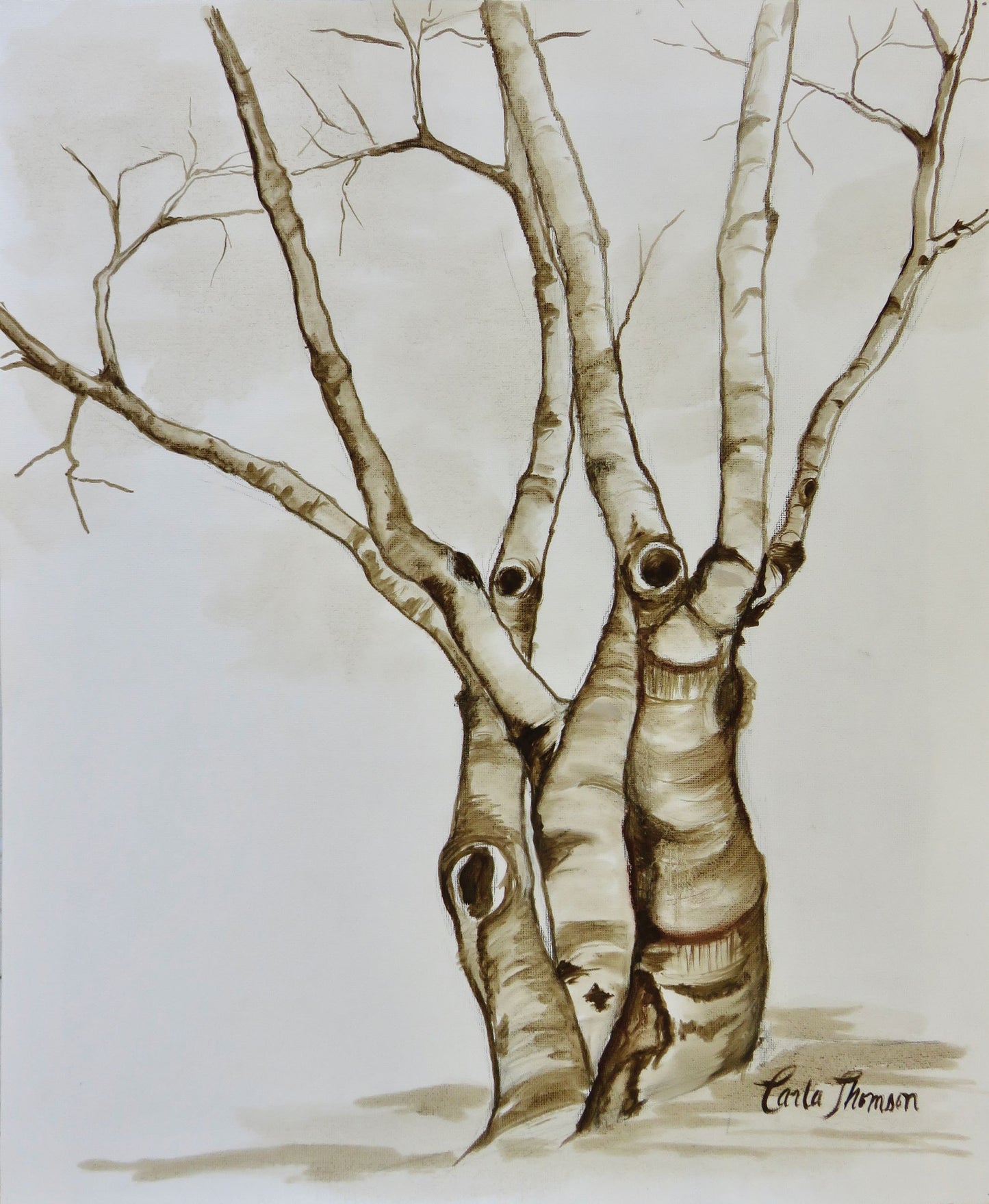 Birches I Oil Drawing