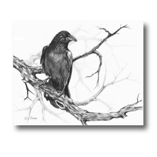 Raven Charcoal Drawing
